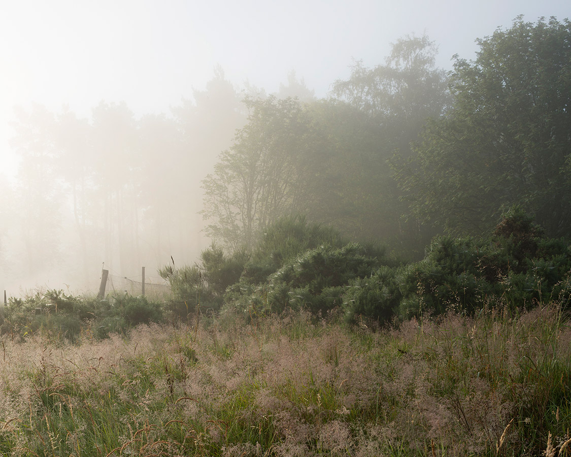 Speyside light, 7.00am, photographed for Speirs+Major